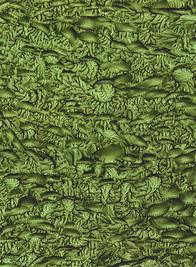 Zoom into Javari Valley Multidimensional Masterpiece By DAPACU Painter